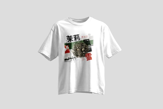 Mòlì Piāo Xuě